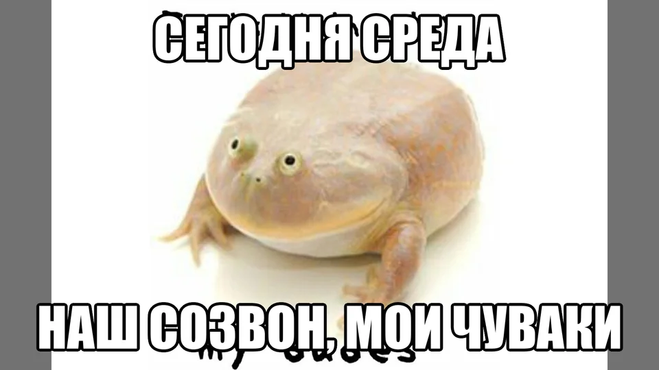 Лягушка объявляет среду днём еженедельного игрового созвона пары