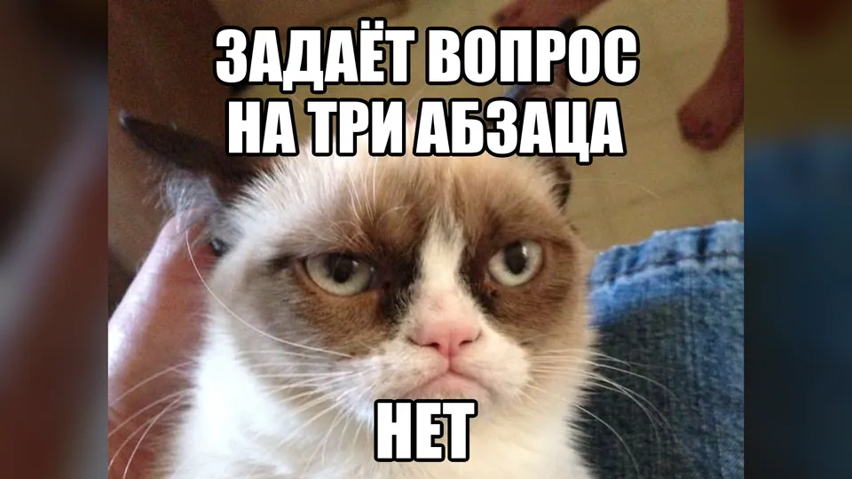 Сердитая кошка с подписью «Задаёт вопрос на три абзаца. Нет»
