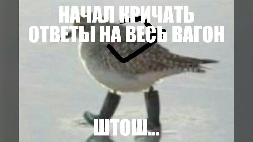 Птица «Штош» с подписью «Начал кричать ответы на весь вагон. Штош…»